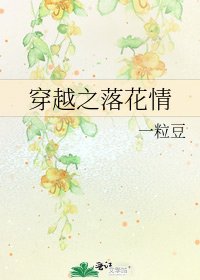 穿越之落花情