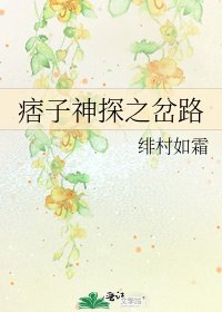 痞子神探之岔路